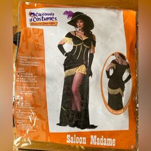 SALOON MADAME ADULT COSTUME, Sz-Sm, Green/Gold, Wild West Era,
